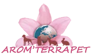 logo-1676366828